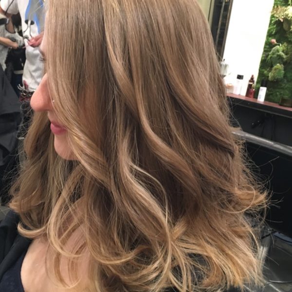 {{ $property->title }}の写真