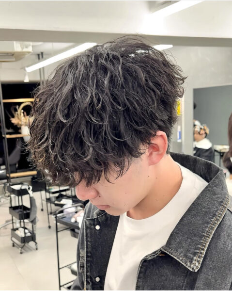 {{ $property->title }}の写真