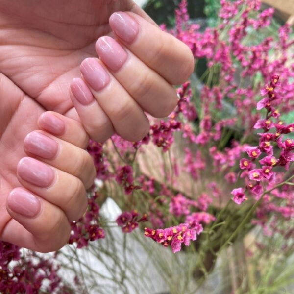 {{ $property->title }}の写真