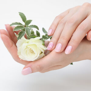 {{ $property->title }}のサムネイル