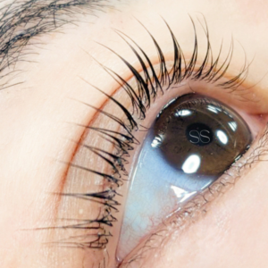 {{ $property->title }}のサムネイル