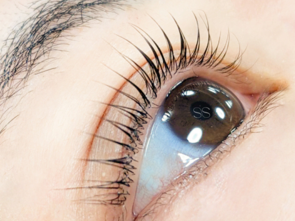 {{ $property->title }}の写真