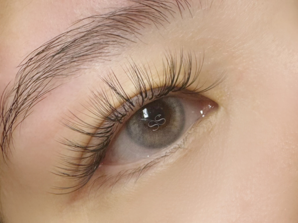 {{ $property->title }}の写真