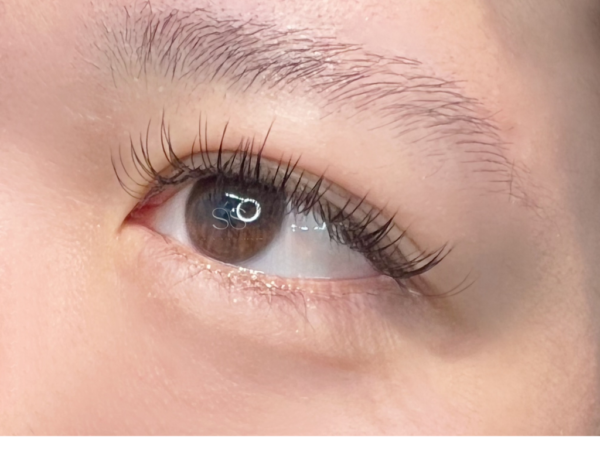 {{ $property->title }}の写真