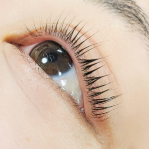 {{ $property->title }}のサムネイル