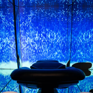 {{ $property->title }}のサムネイル