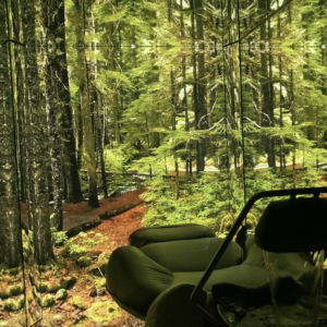 {{ $property->title }}のサムネイル