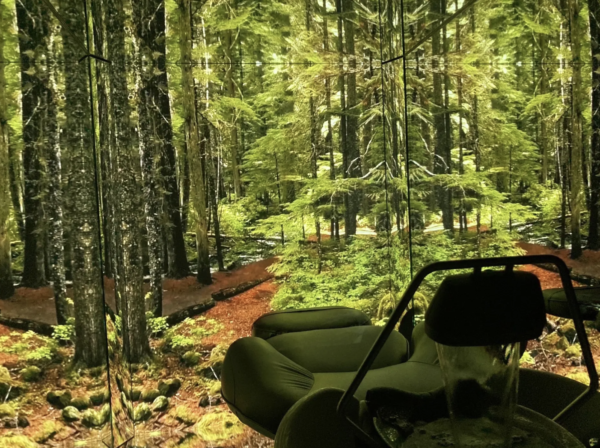 {{ $property->title }}の写真